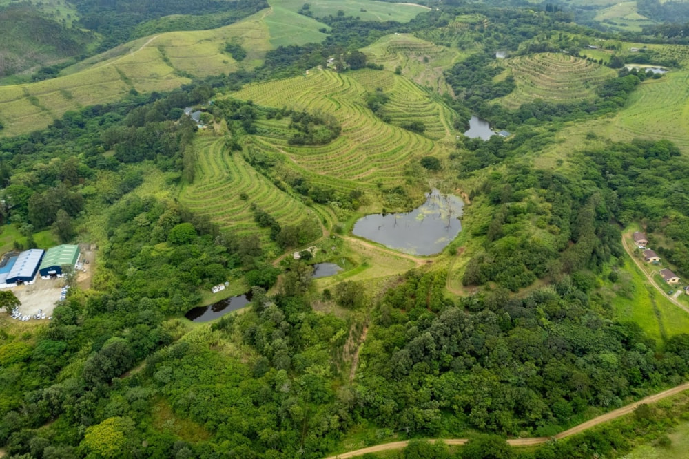 Nut farm for sale in Umtentweni - 1PX1637133