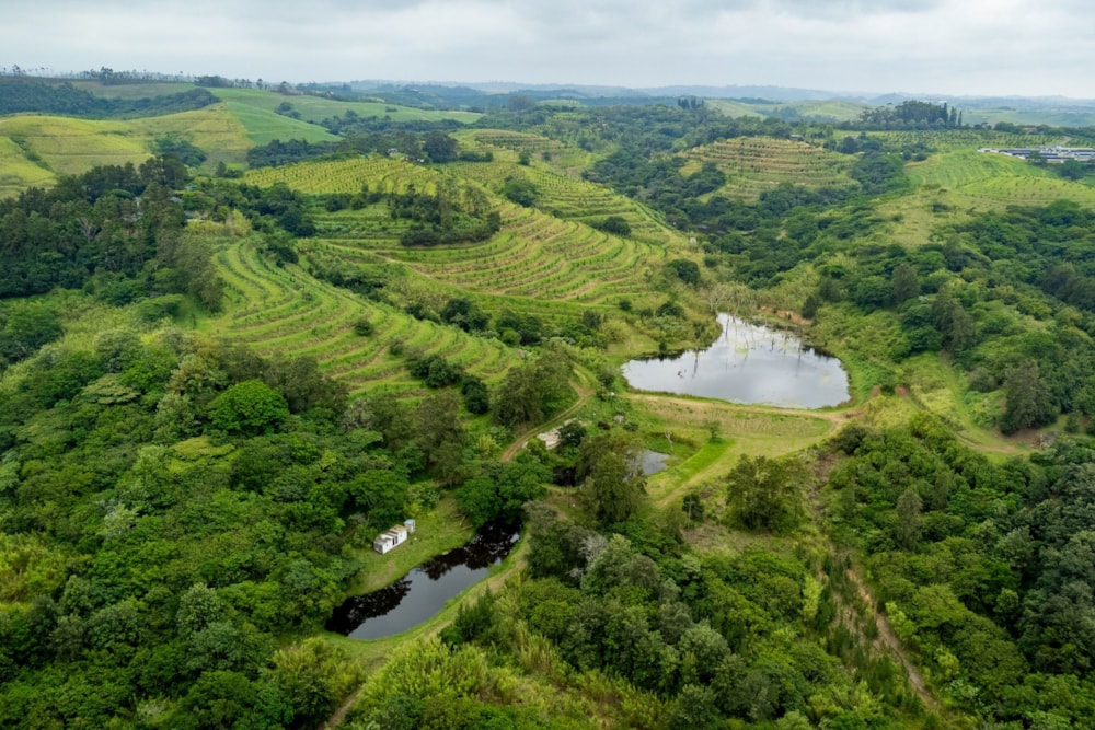 Nut farm for sale in Umtentweni - 1PX1637133