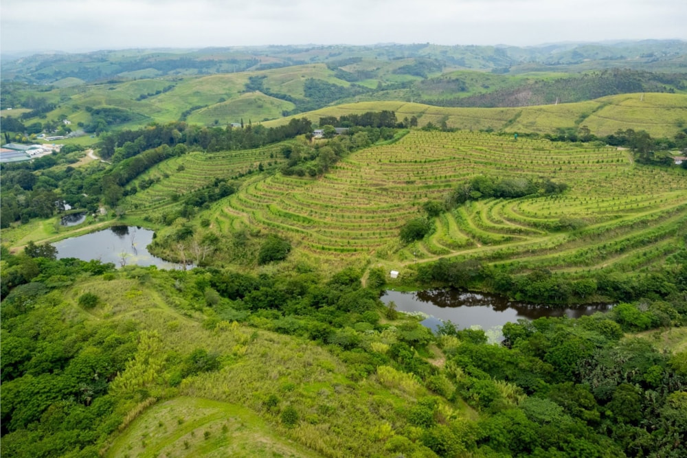 Nut farm for sale in Umtentweni - 1PX1637133