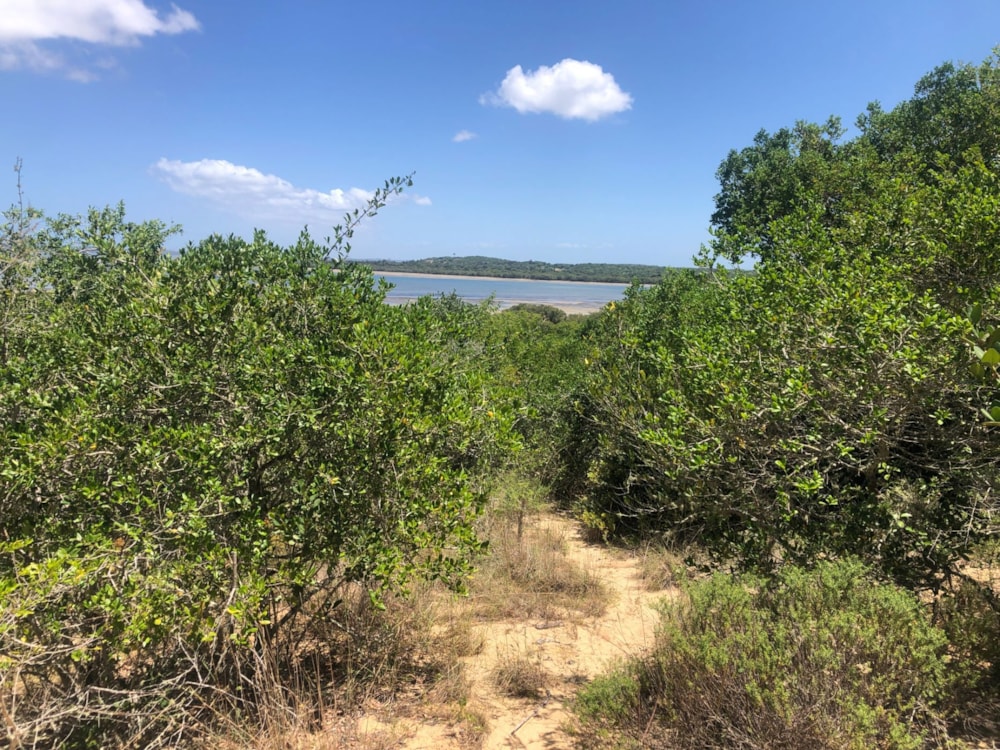 Vacant land for investment in Inhaca, Mozambique - 3MQ1586941