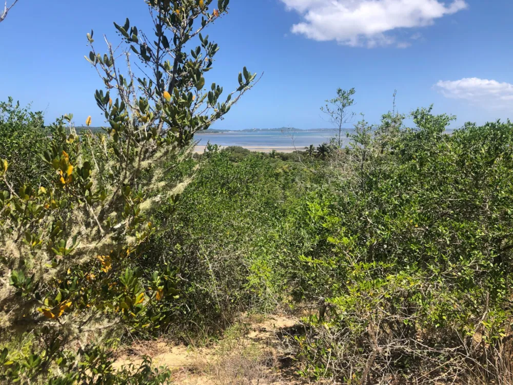 Vacant land sold in Inhaca, Mozambique - 3MQ1586941 Vacant land sold in Inhaca, Mozambique - 3MQ1586941