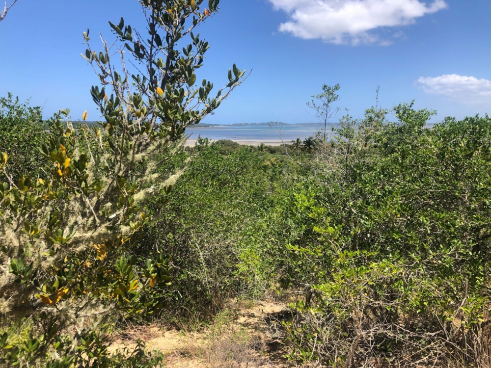 Vacant land for investment in Inhaca, Mozambique - 3MQ1586941