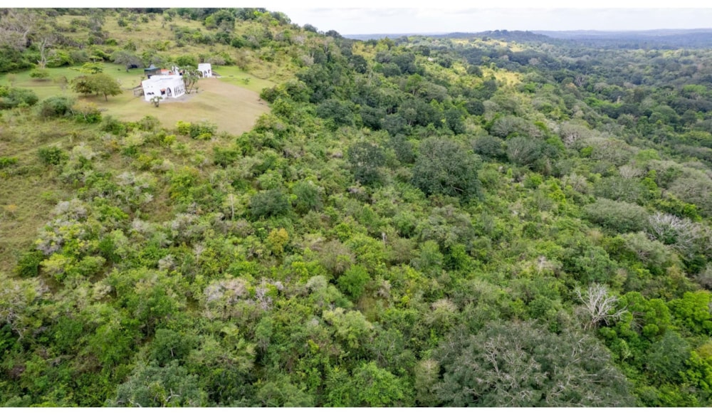 Residential vacant land for sale in Shimba Hills, Kenya - 3KE1637161 Residential vacant land for sale in Shimba Hills, Kenya - 3KE1637161