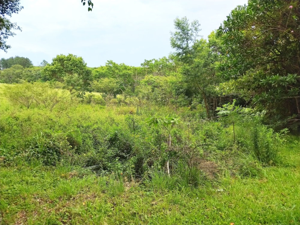 Residential vacant land for sale in Margate - 1PX1639267