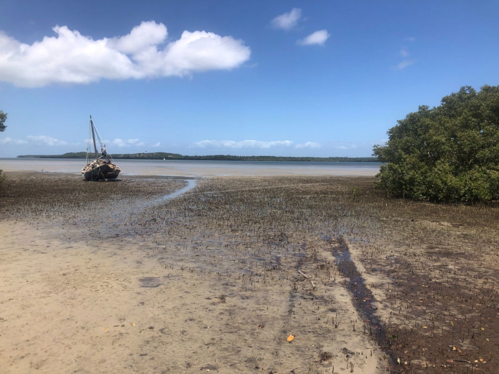 Vacant land for investment in Inhaca, Mozambique - 3MQ1639460