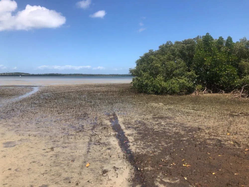 Vacant land for investment in Inhaca, Mozambique - 3MQ1639460 Vacant land for investment in Inhaca, Mozambique - 3MQ1639460