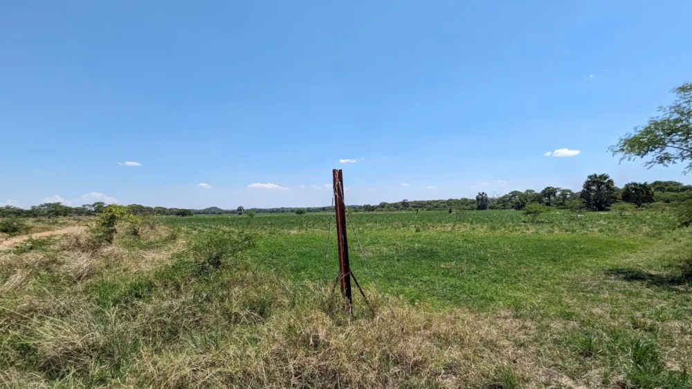 Nut farm for sale in Makeni, Zambia - 3ZA1639854