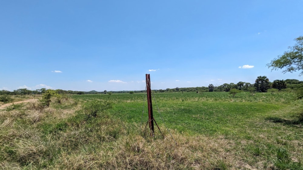 Nut farm for sale in Makeni, Zambia - 3ZA1639854