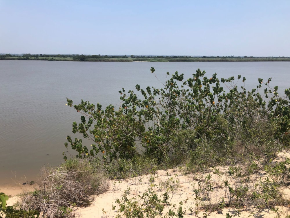 Vacant land for investment in Praia de Macaneta, Mozambique - 3MQ1639627 Vacant land for investment in Praia de Macaneta, Mozambique - 3MQ1639627