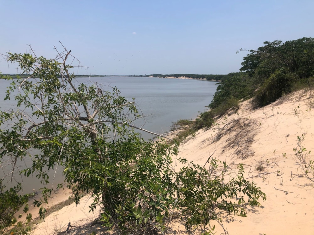 Vacant land for investment in Praia de Macaneta, Mozambique - 3MQ1639627 Vacant land for investment in Praia de Macaneta, Mozambique - 3MQ1639627
