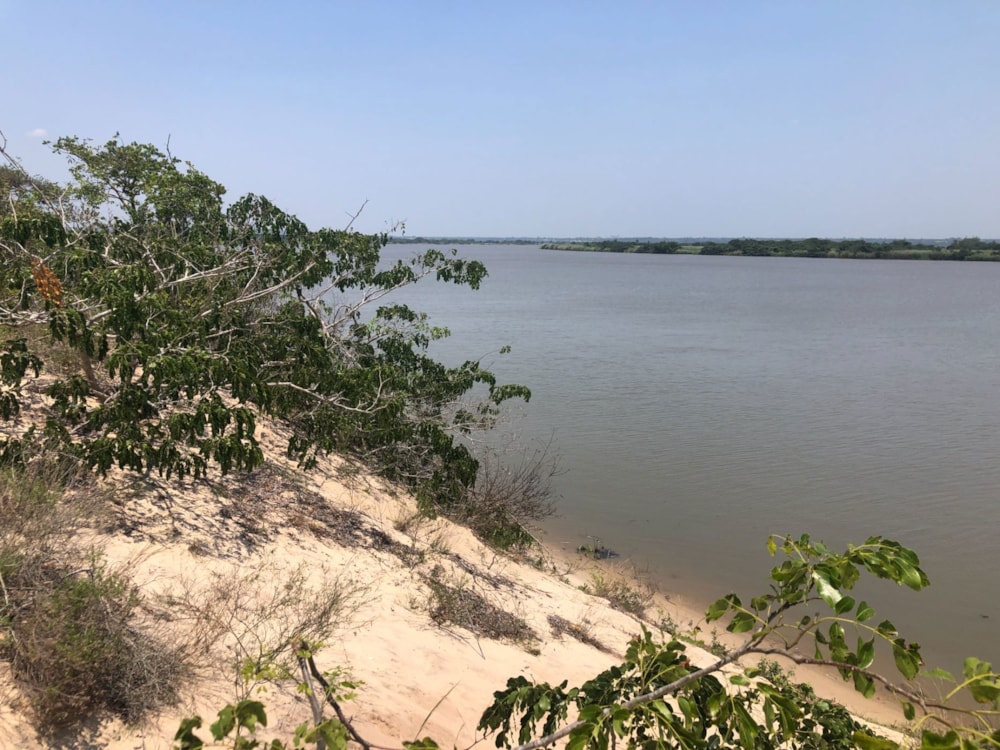 Vacant land for investment in Praia de Macaneta, Mozambique - 3MQ1639627 Vacant land for investment in Praia de Macaneta, Mozambique - 3MQ1639627