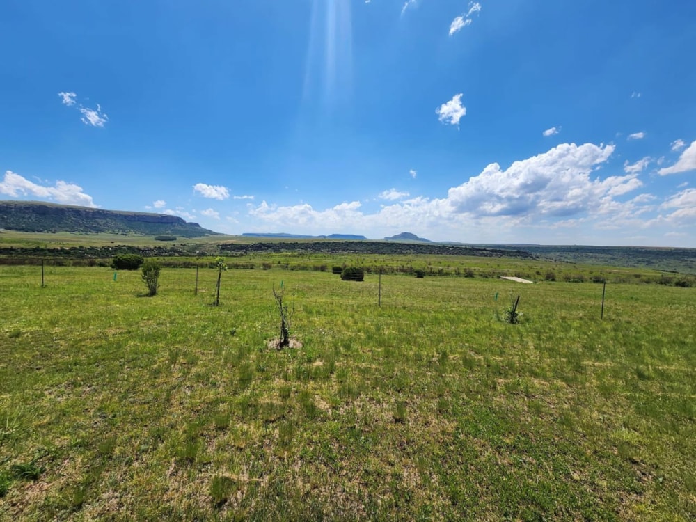 Lifestyle property sold in Senekal - 1BTH1640295 Lifestyle property sold in Senekal - 1BTH1640295