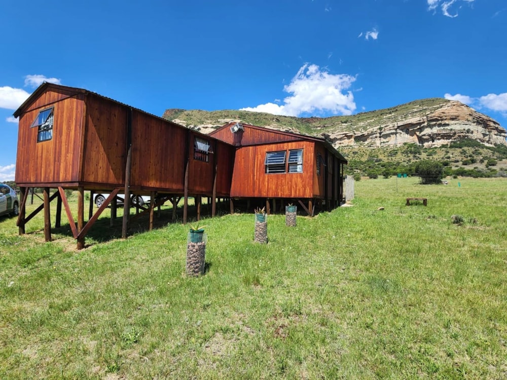 Lifestyle property sold in Senekal - 1BTH1640295 Lifestyle property sold in Senekal - 1BTH1640295