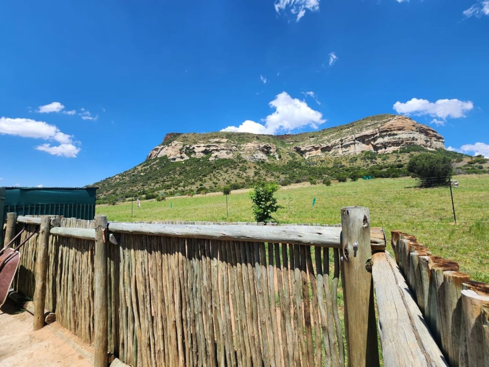 Lifestyle property sold in Senekal - 1BTH1640295 Lifestyle property sold in Senekal - 1BTH1640295