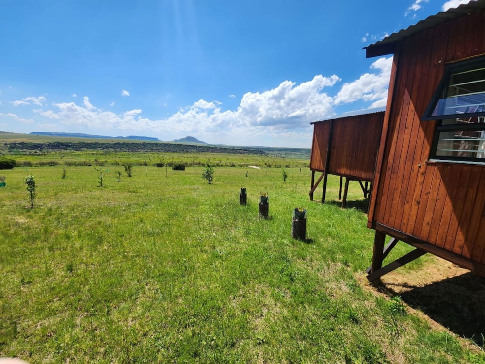 Lifestyle property sold in Senekal - 1BTH1640295 Lifestyle property sold in Senekal - 1BTH1640295