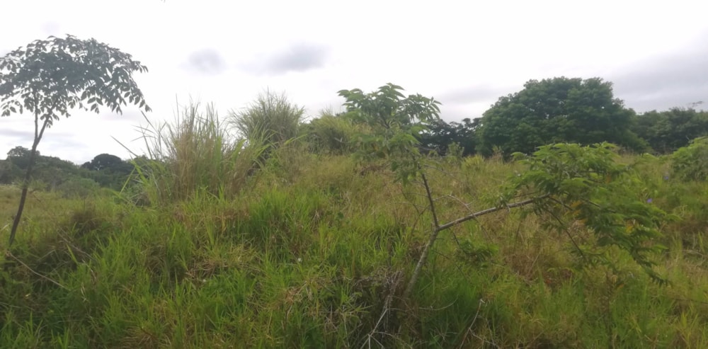 Vacant land for sale in Sea Park, Port Shepstone - 1PX1640768 Vacant land for sale in Sea Park, Port Shepstone - 1PX1640768