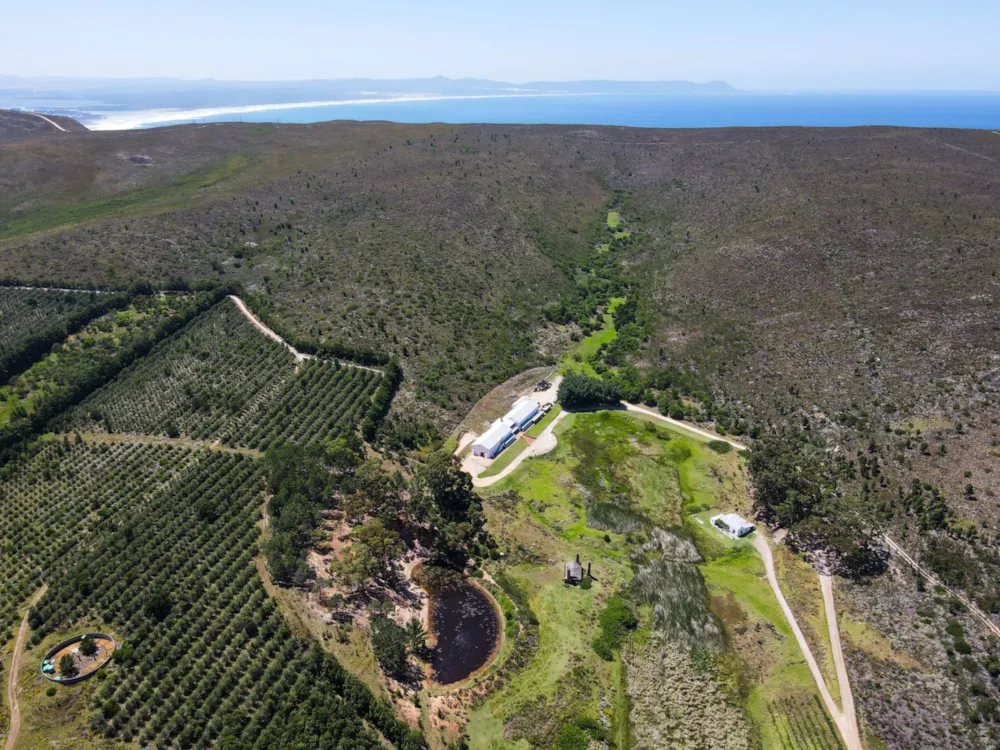 Wine farm sold in Hemel-en-Aarde Valley - HF1640806 Wine farm sold in Hemel-en-Aarde Valley - HF1640806