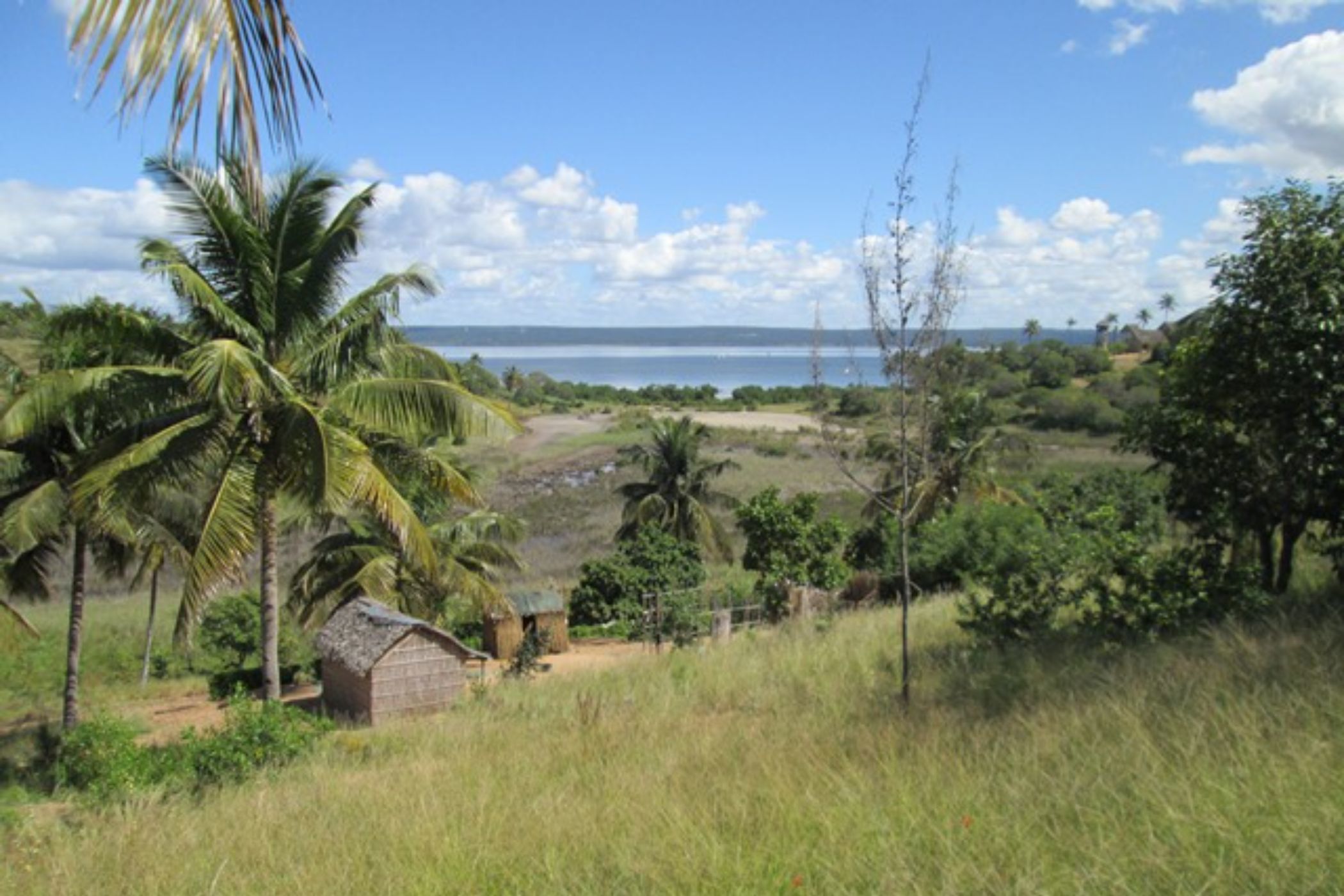 Vacant land for investment in Inhambane, Inhambane, Mozambique - 3MQ1640646