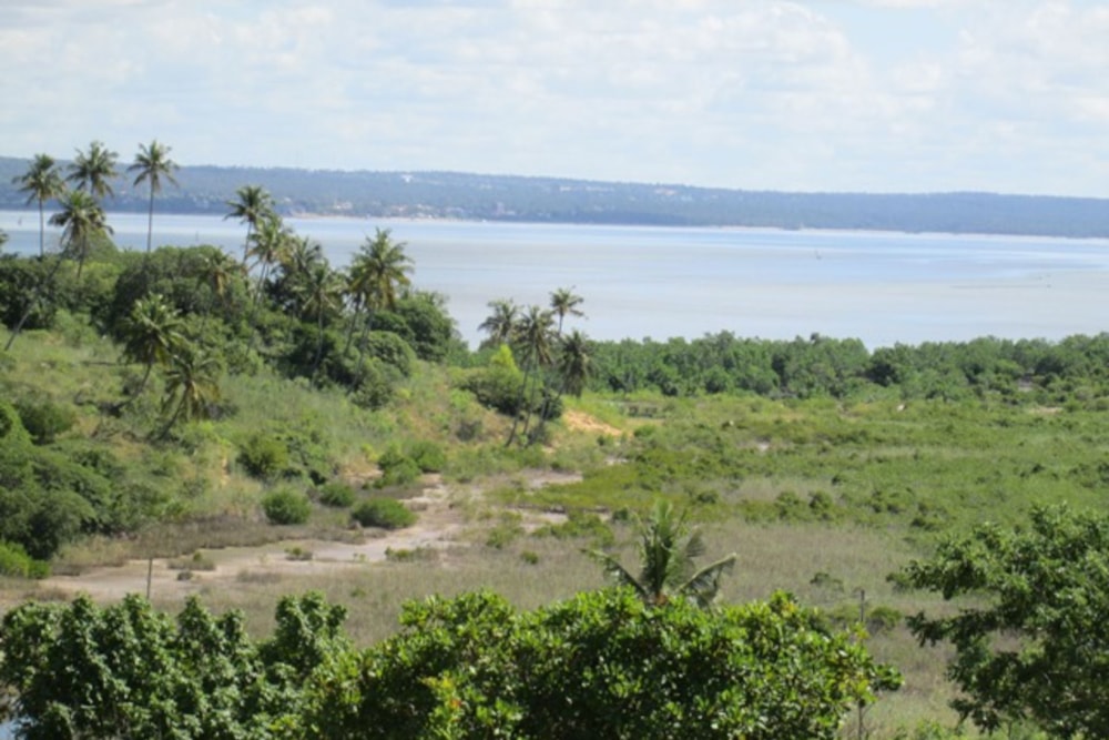 Vacant land for investment in Inhambane, Inhambane, Mozambique - 3MQ1640646