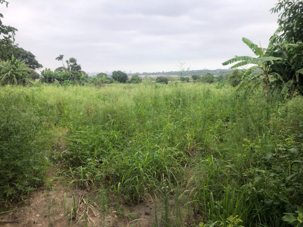 Vacant land for investment in Catembe, Mozambique - 3MQ1640675 Vacant land for investment in Catembe, Mozambique - 3MQ1640675