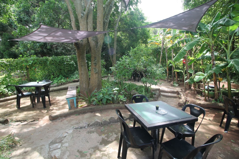 Commercial Building for sale in Bathurst - 1PF1640688 Commercial Building for sale in Bathurst - 1PF1640688