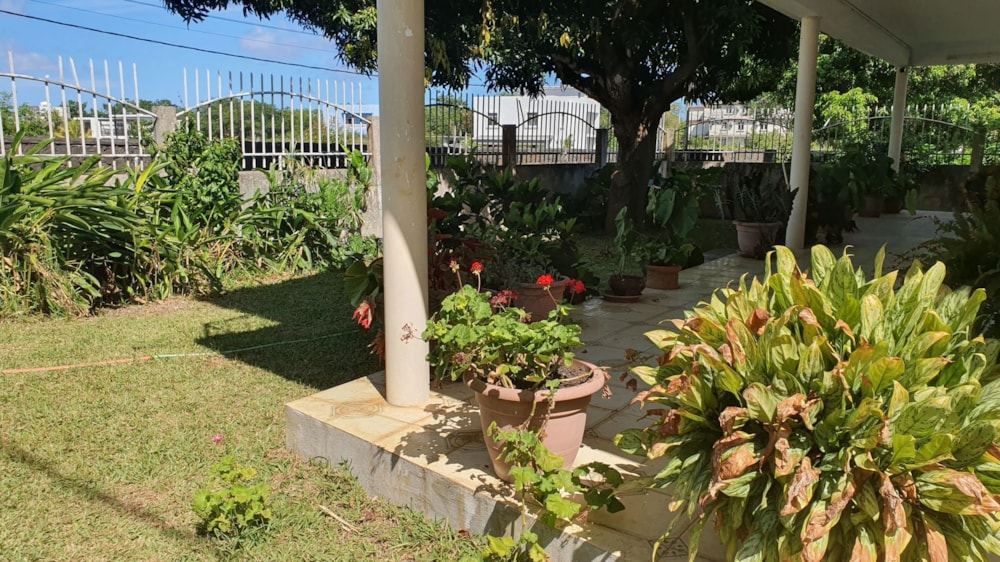 House sold in Cap Malheureux, Mauritius - MPR1640869 House sold in Cap Malheureux, Mauritius - MPR1640869