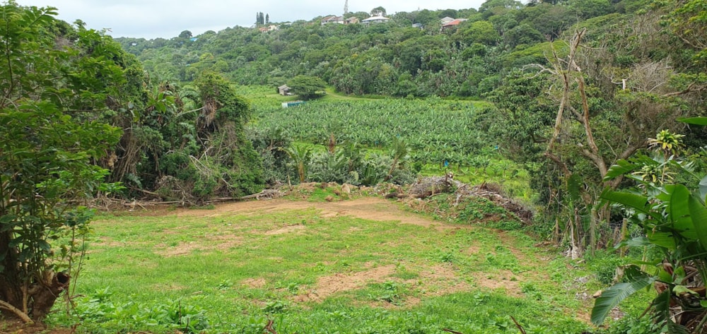 Residential vacant land for sale in Trafalgar - 1PD1640996