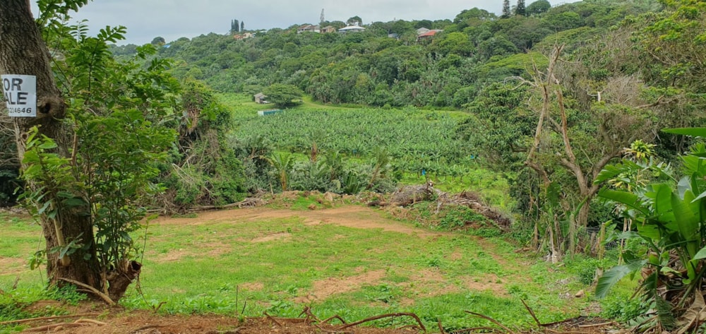 Residential vacant land for sale in Trafalgar - 1PD1640996