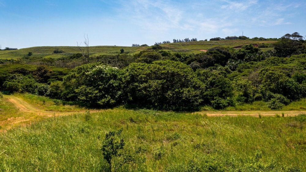 Residential vacant land for sale in Zululami Estate - 1BD1641135