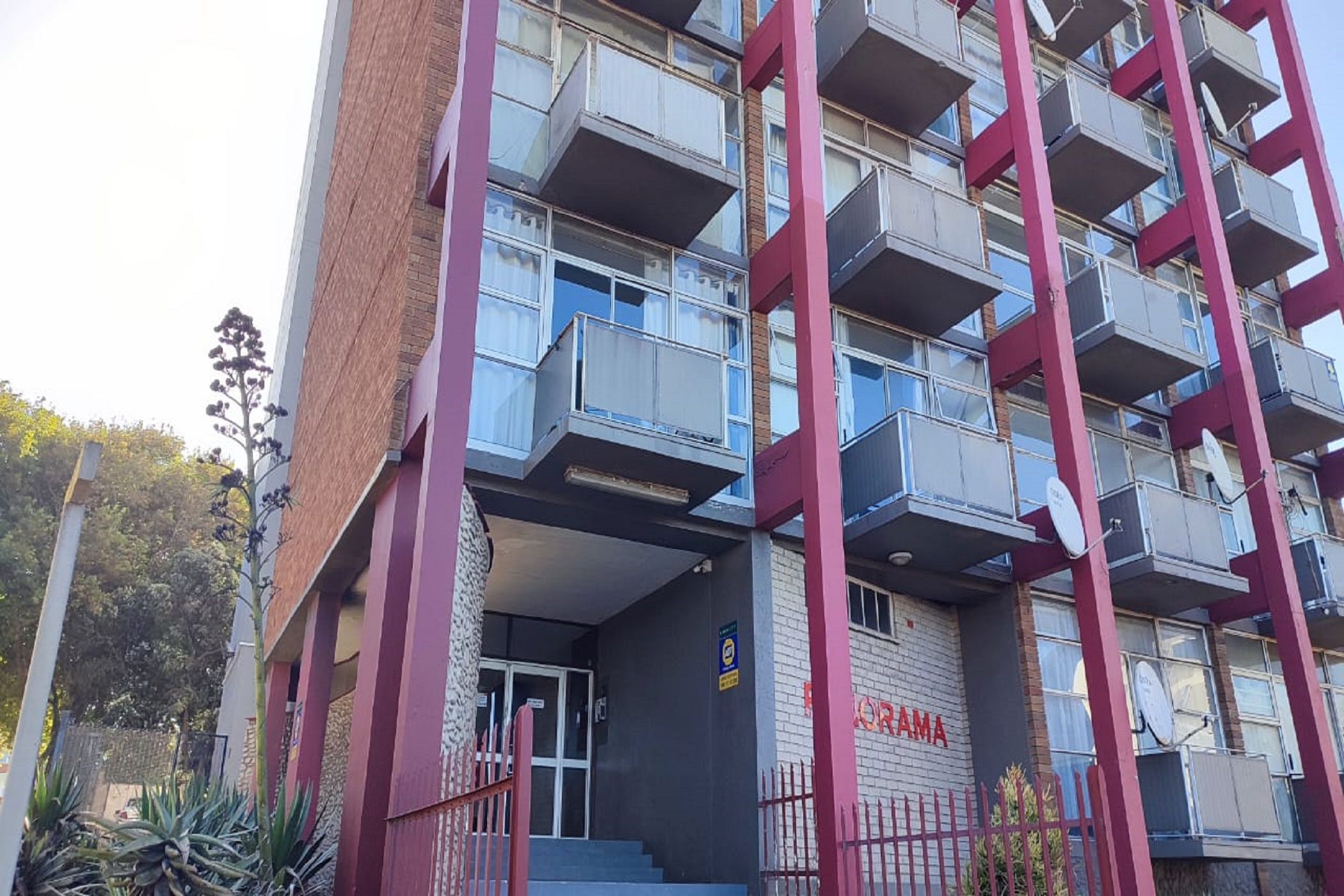 Studio apartment to rent in Central, Port Elizabeth, Gqeberha - 1PLZ1517228