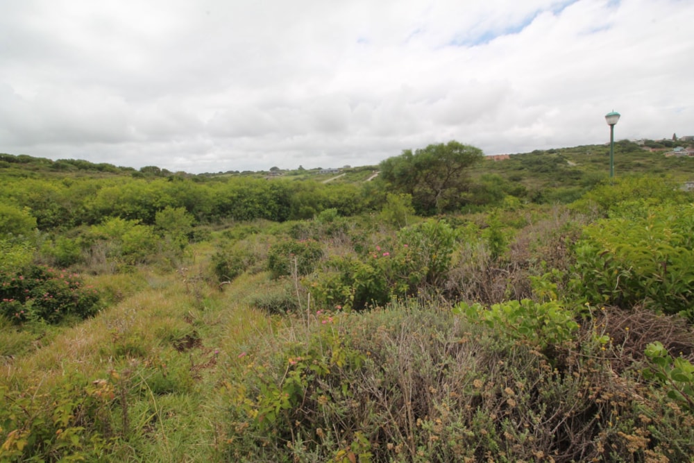 Residential vacant land for sale in Emerald Heights - 1PF1642151