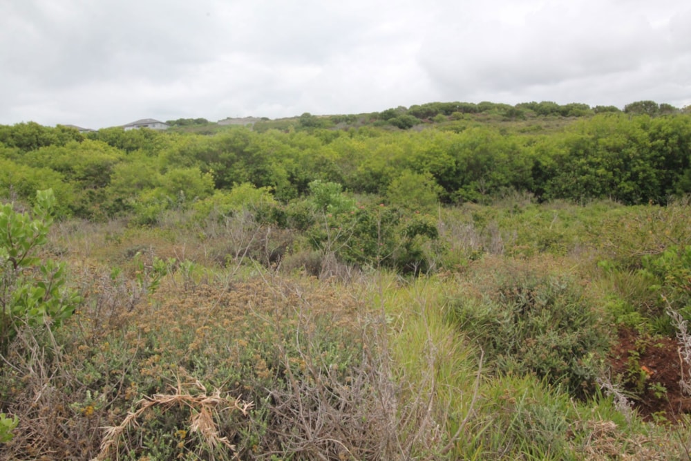 Residential vacant land for sale in Emerald Heights - 1PF1642151