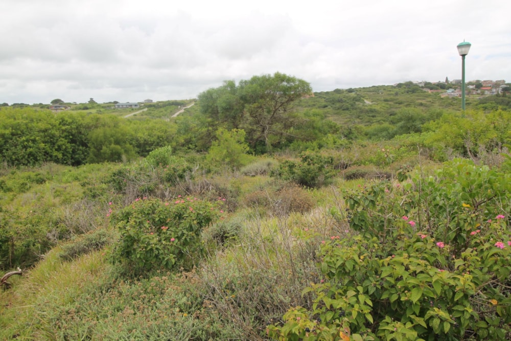 Residential vacant land for sale in Emerald Heights - 1PF1642151