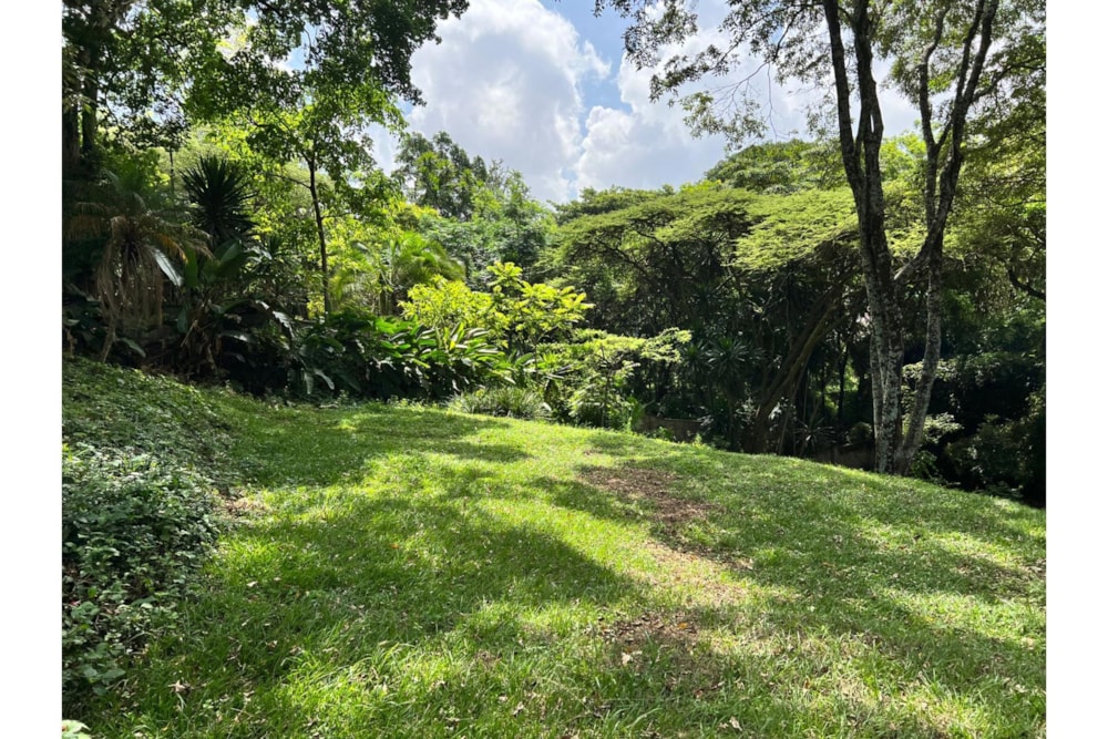 Residential vacant land sold in Muthaiga, Kenya - 3KE1494640 Residential vacant land sold in Muthaiga, Kenya - 3KE1494640