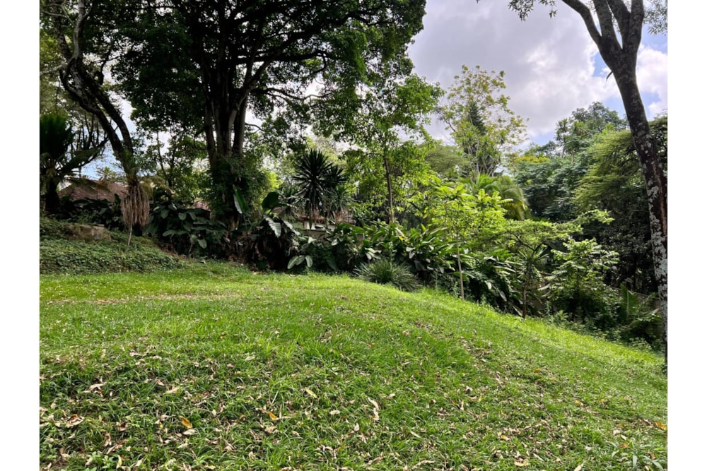 Residential vacant land sold in Muthaiga, Kenya - 3KE1494640 Residential vacant land sold in Muthaiga, Kenya - 3KE1494640