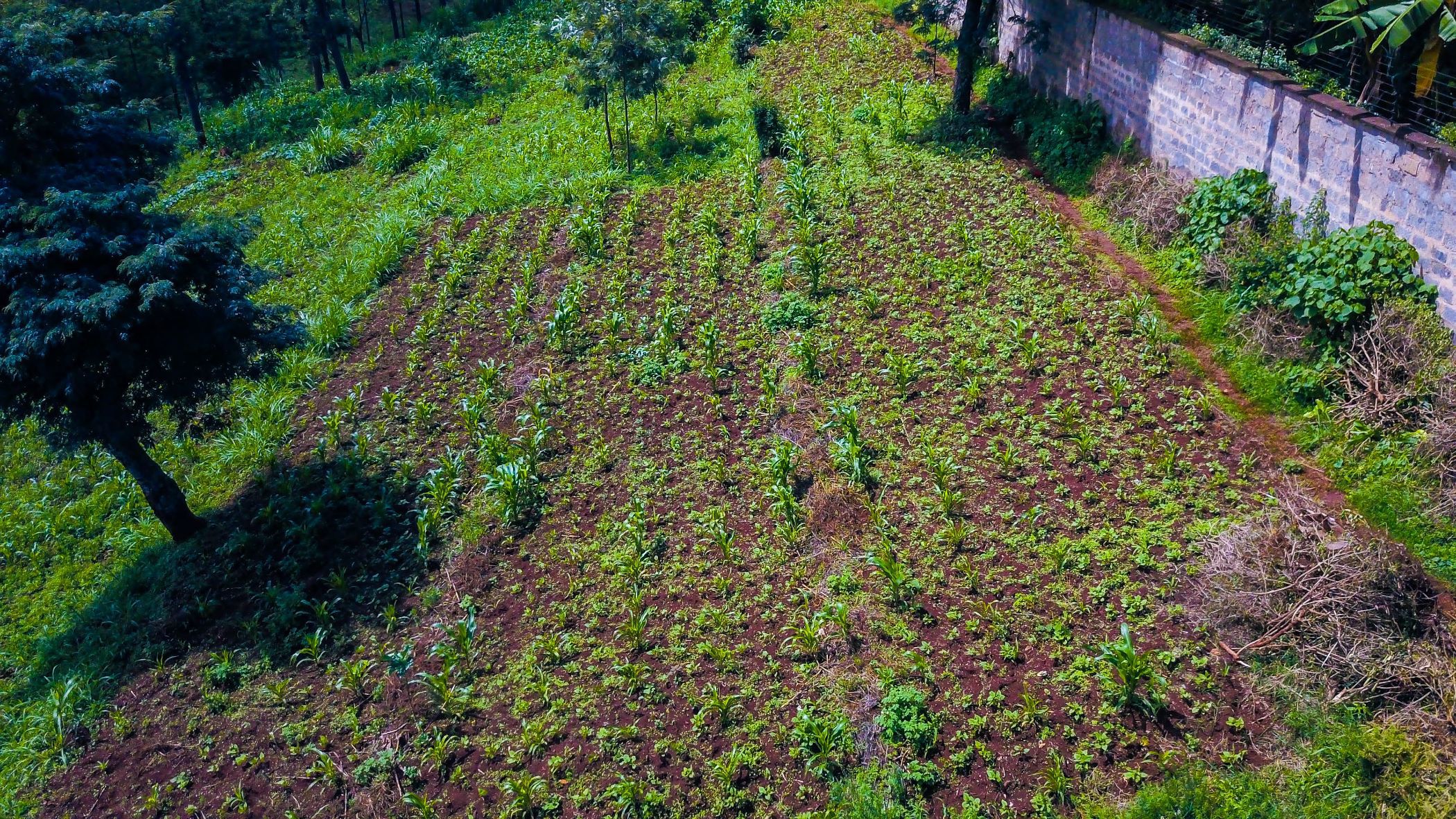 Residential vacant land for sale in New Kitisuru, Kenya - 3KE1724274