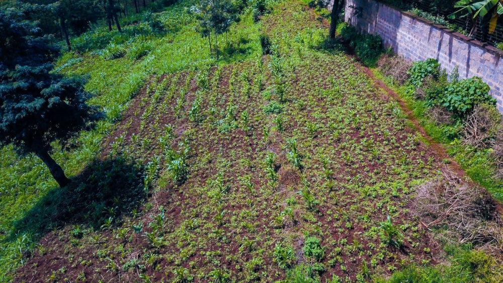 Residential vacant land for sale in New Kitisuru, Kenya - 3KE1724274