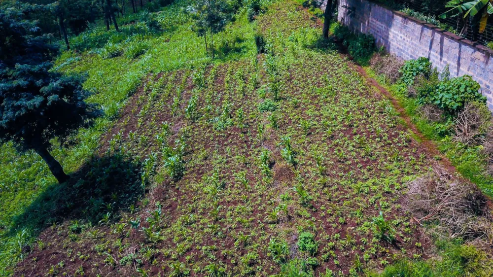 Residential vacant land for sale in New Kitisuru, Kenya - 3KE1724274 Residential vacant land for sale in New Kitisuru, Kenya - 3KE1724274