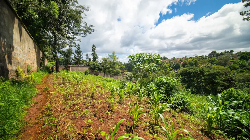 Residential vacant land for sale in New Kitisuru, Kenya - 3KE1724274 Residential vacant land for sale in New Kitisuru, Kenya - 3KE1724274