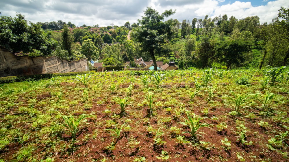 Residential vacant land for sale in New Kitisuru, Kenya - 3KE1724274