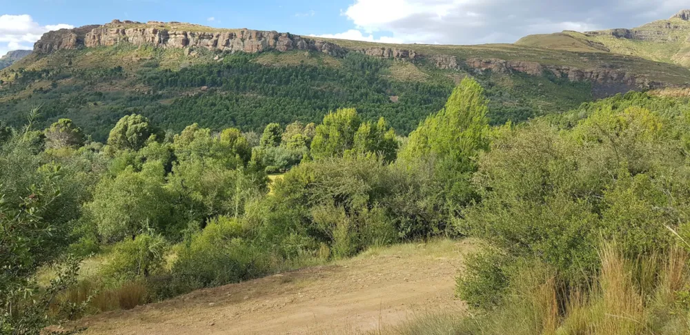 Residential vacant land sold in Lady Grey - 1KK1640063
