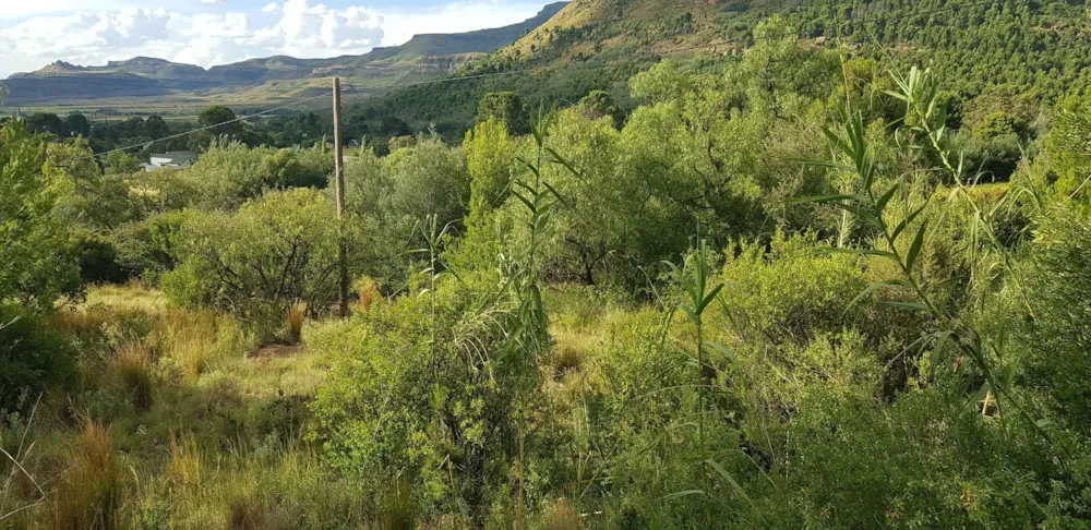 Residential vacant land sold in Lady Grey - 1KK1640063
