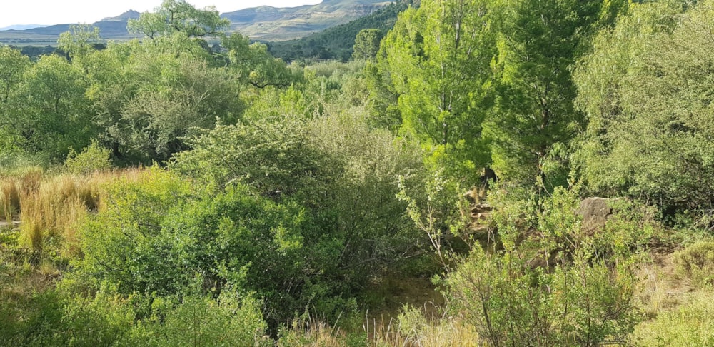 Residential vacant land for sale in Lady Grey - 1KK1640063