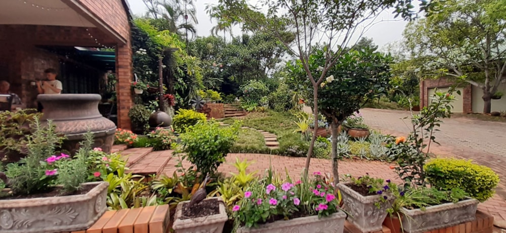 House for sale in Tzaneen, Limpopo Province - 1TA1641666