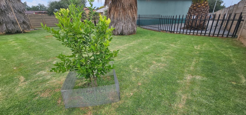 House for sale in Duncanville - 1VT1641981