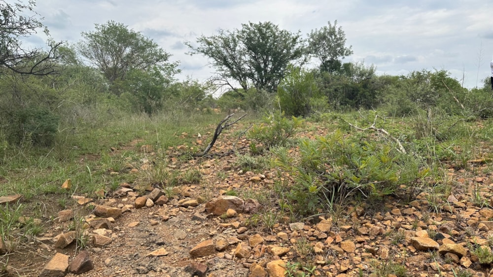 Residential vacant land for sale in Sentlhane, Botswana - 3BO1642096 Residential vacant land for sale in Sentlhane, Botswana - 3BO1642096