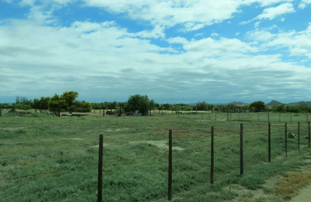 Vacant land for sale in Prince Albert - 1KK1751061 Vacant land for sale in Prince Albert - 1KK1751061