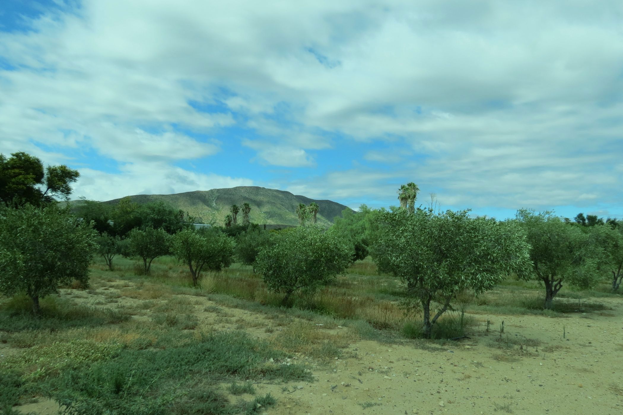 Vacant land for sale in Prince Albert - 1KK1751061