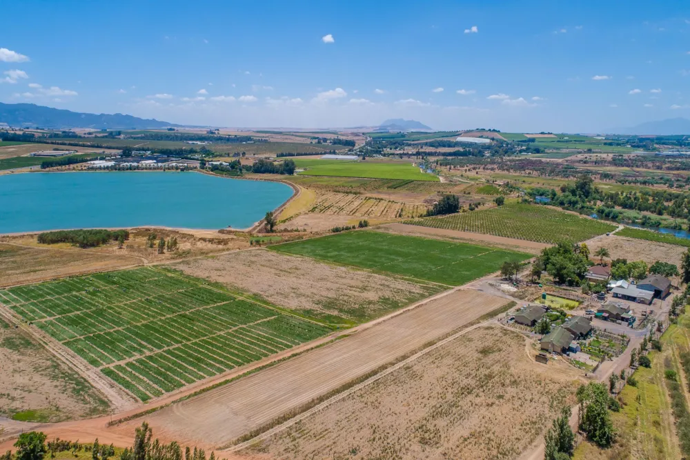 Mixed use farm for sale in Paarl Rural - TK1642542 Mixed use farm for sale in Paarl Rural - TK1642542