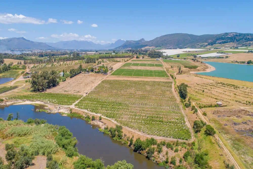 Mixed use farm for sale in Paarl Rural - TK1642542 Mixed use farm for sale in Paarl Rural - TK1642542
